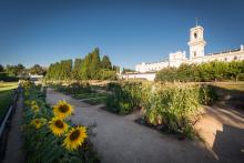 Kitchen Garden at sunset